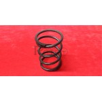 MOLLA SUPPORTO MOTORE FIAT 500 N - D -F - L